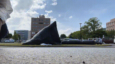 749009536.362265.gif