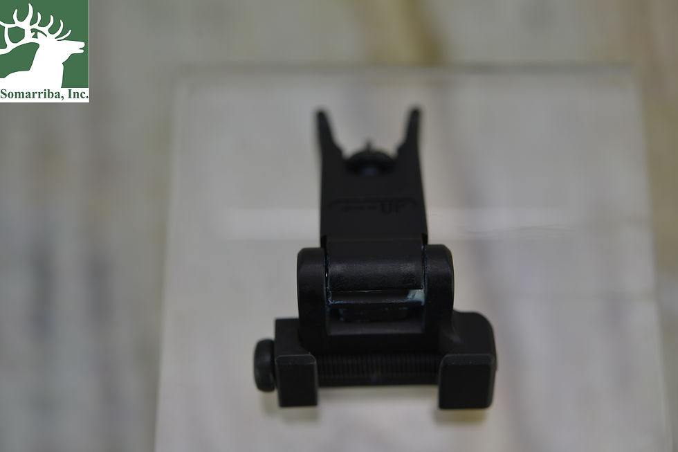 Thumbnail: RECKNAGEL TAC ERA BACK UP SIGHT