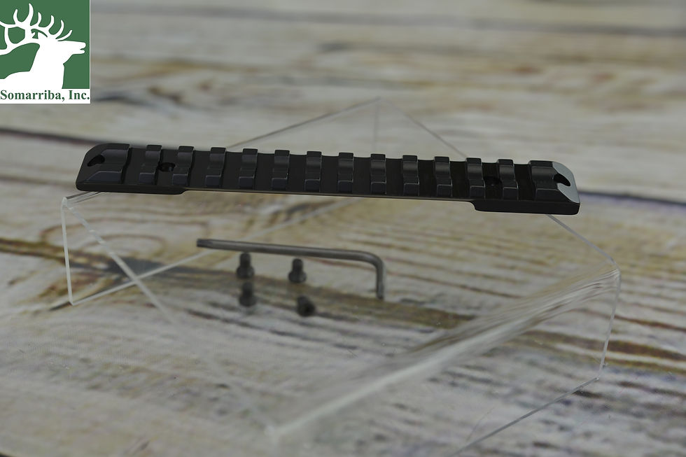 Thumbnail: RECKNAGEL Picatinny Rail Sauer 202 Magnum
