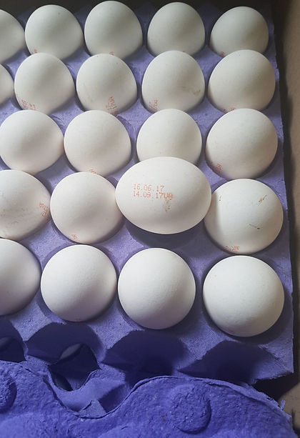 IMG-20170718-WA0004 (1).jpg