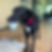 322510951_491311379579416_363038603749457575_n