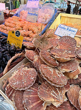 Market day seafood offerings at Saint-Gemain-des-Prés in Paris, France