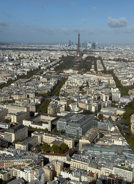 A view of the city of Paris with the Eiffel Tower and high-rises of La Defense taken from Montparnasse Tower