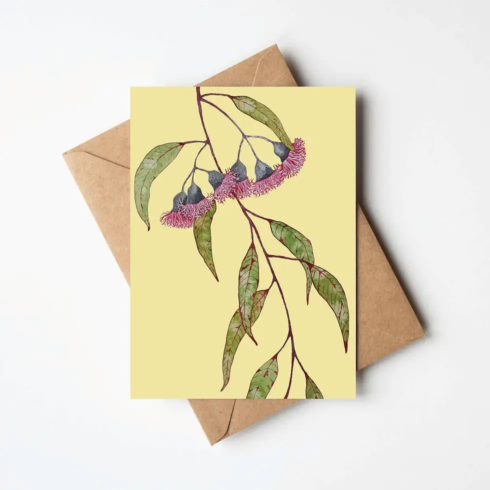 Greeting Card - Eucalyptus