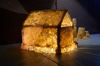 Kath Fries, Abode (2018) beeswax, wire,
