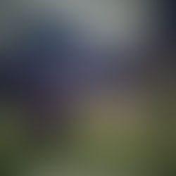 2021.2月精選文章|La película peruana: Wiñaypacha