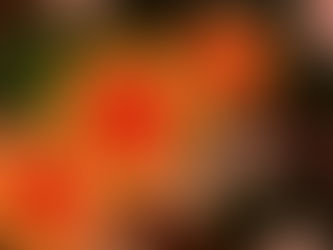 2020.4月精選文章|新冠狀病毒如何影響你我的荷包