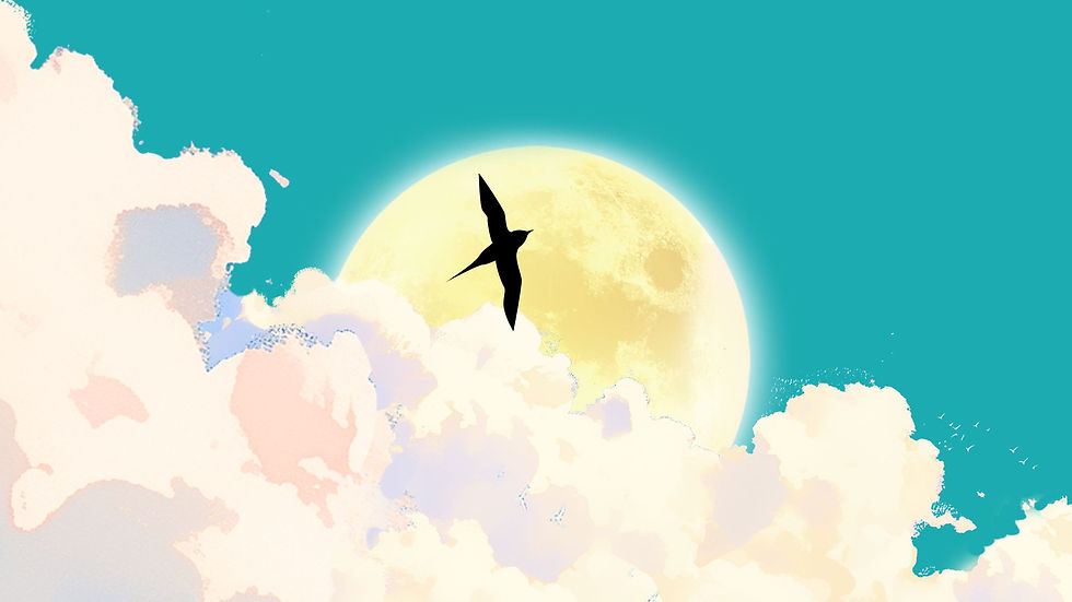 Imagen diseñada por Natalia Chopur con Canva.