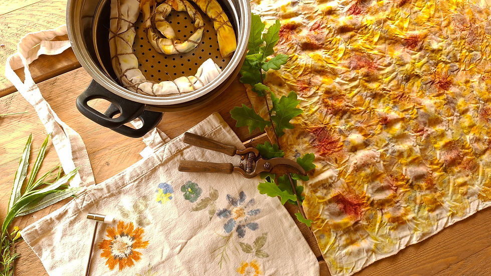 Natural dye workshop: Forage, Bundle dye and Hapazome