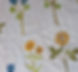 Hapa Zome Workshop - 6.30pm - 9pm
