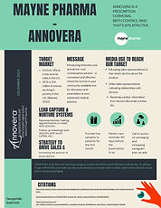 One Page Marketing Plan - ANNOVERA_edite
