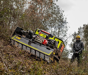 forestal