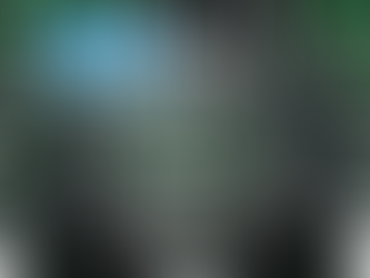 What are the 12 Dragon Medals?