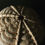 Thumbnail: Bones