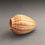 Thumbnail: Maple Seed Pod