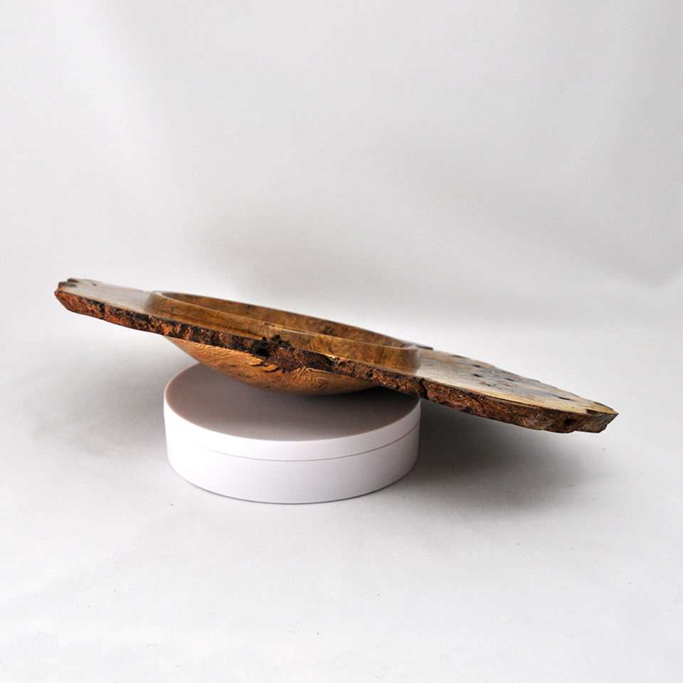 Thumbnail: Oak Burl Disc