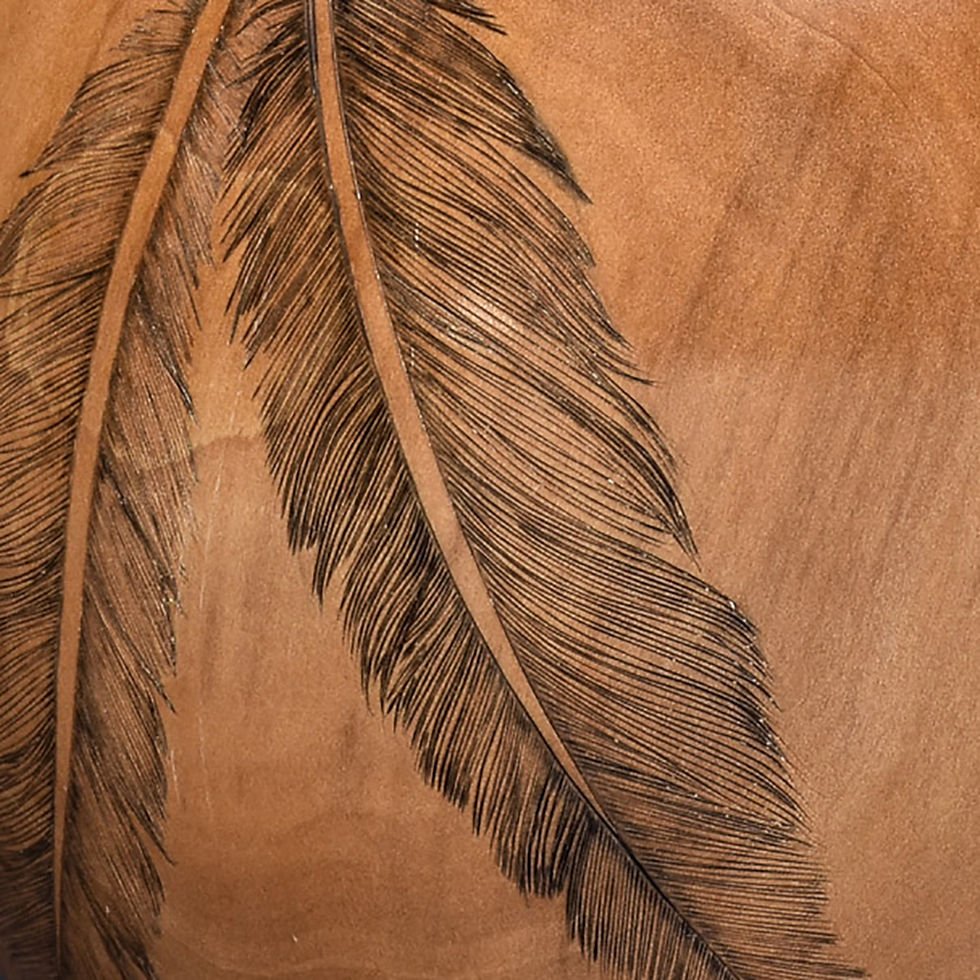Thumbnail: Barbed Wire Feathers