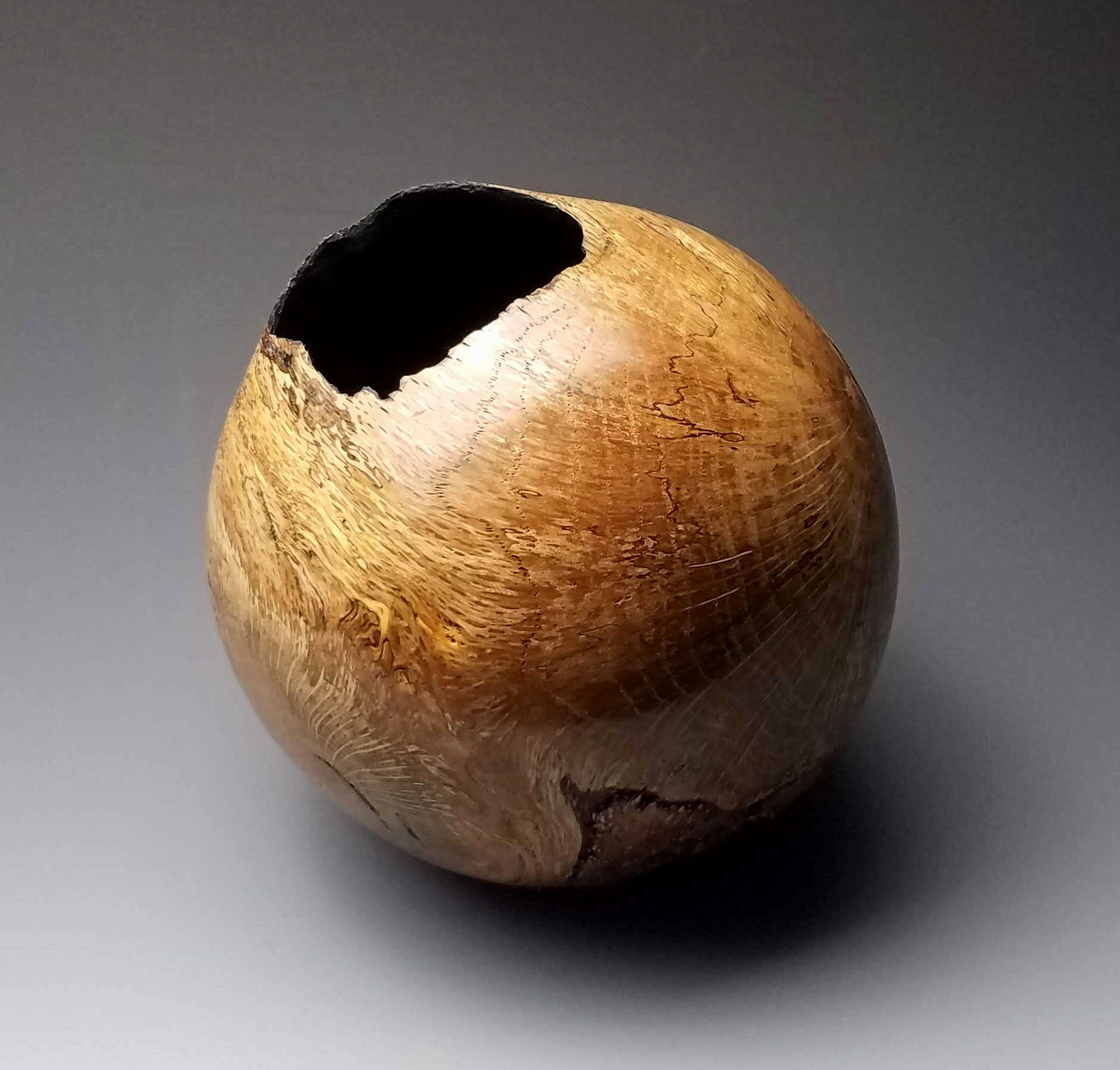 Chinkapin Oak Double Natural Hollow Form