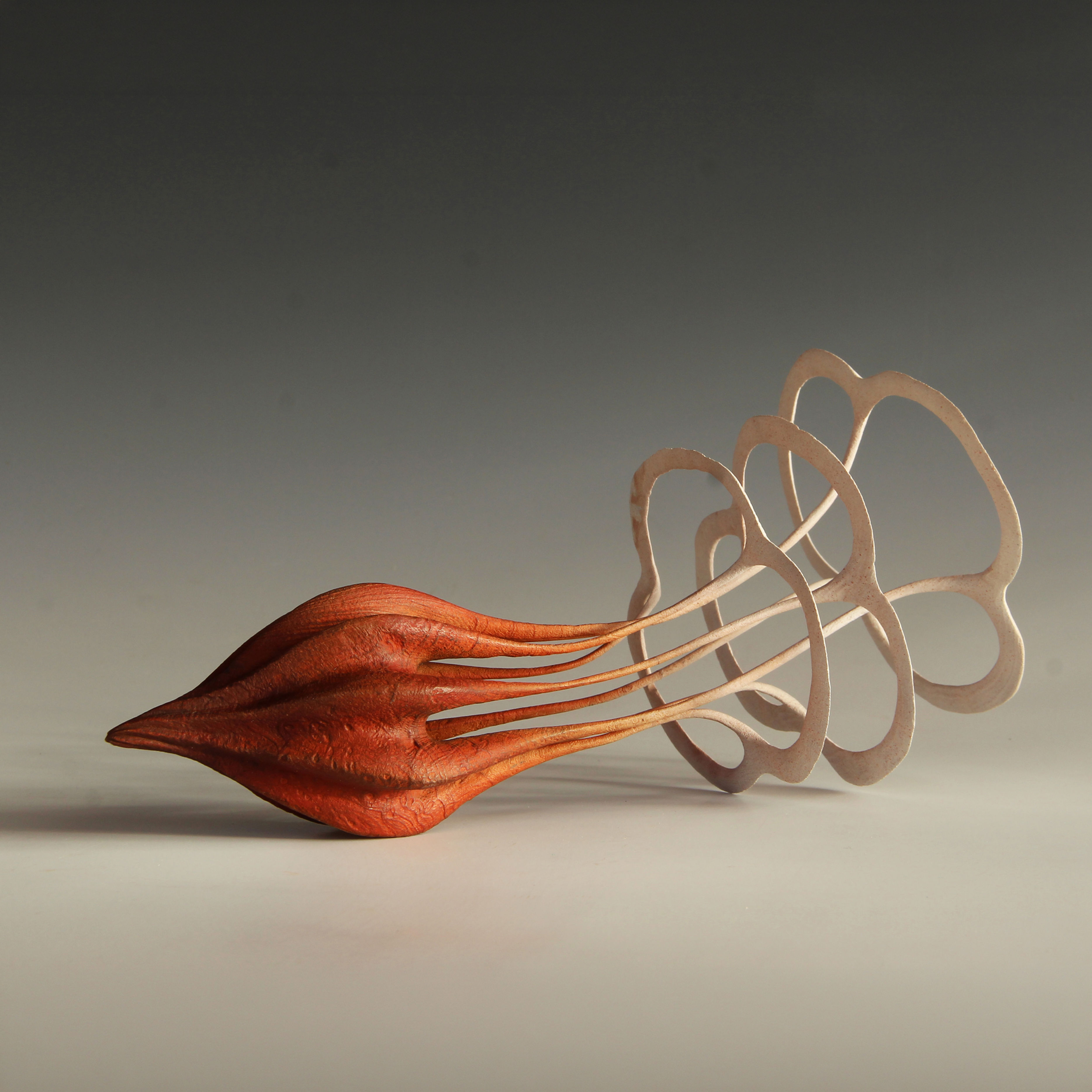 Fire Shell Tree
