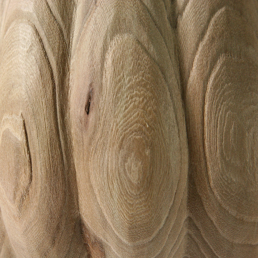 Thumbnail: Sculpted Vase #1