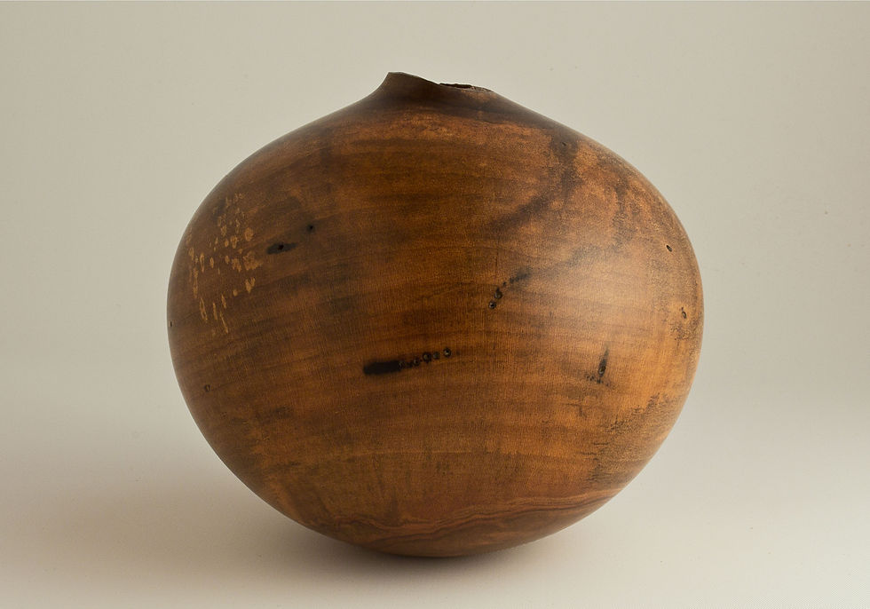 Natural Spalted Red Maple Hollow