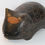 Thumbnail: Wombat