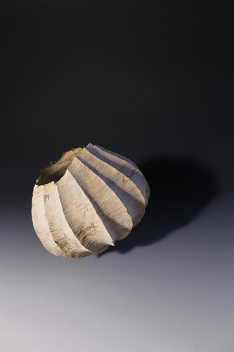The Odd Shell | WOODSYMPHONY GALLERY