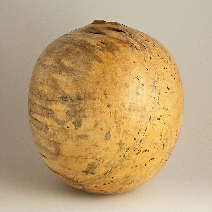 Thumbnail: Infested Blue Stain Box Elder Hollow