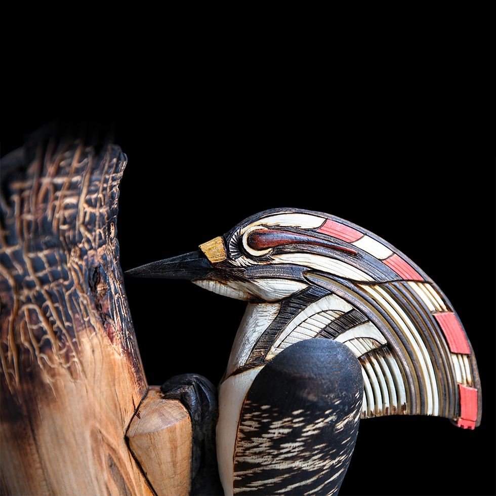 Thumbnail: Woodpecker Pecking