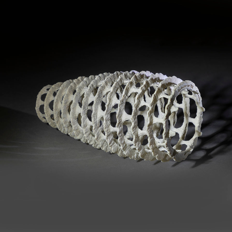 Thumbnail: Radiolarian VIII