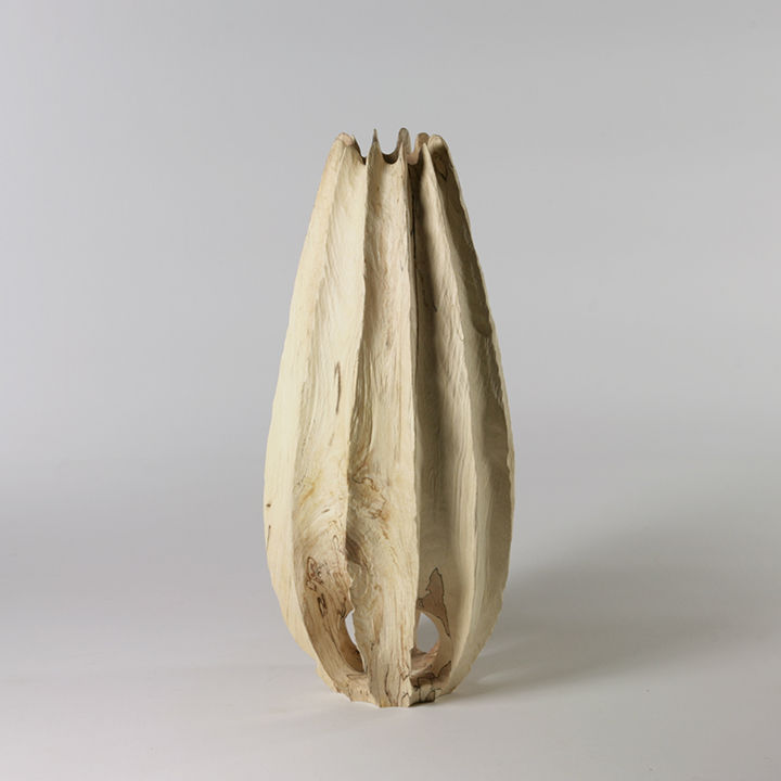 Thumbnail: Vase In Vase #2