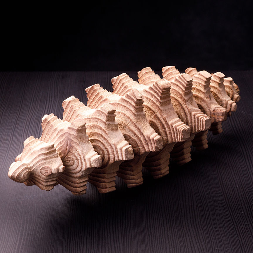 Spine Form