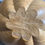 Thumbnail: White Oak Vessel