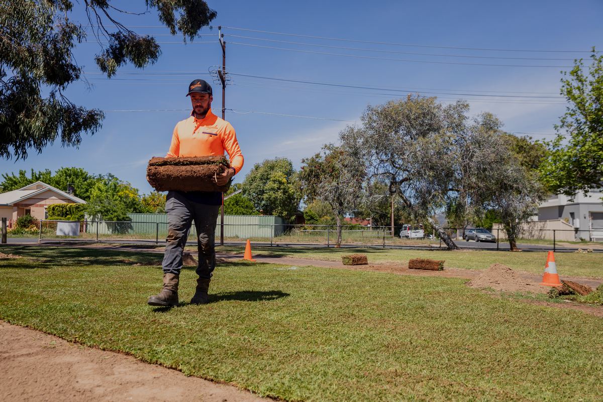 Crew member in orange hi-vis carrying a cut log section across a mown reserve with traffic cones behind