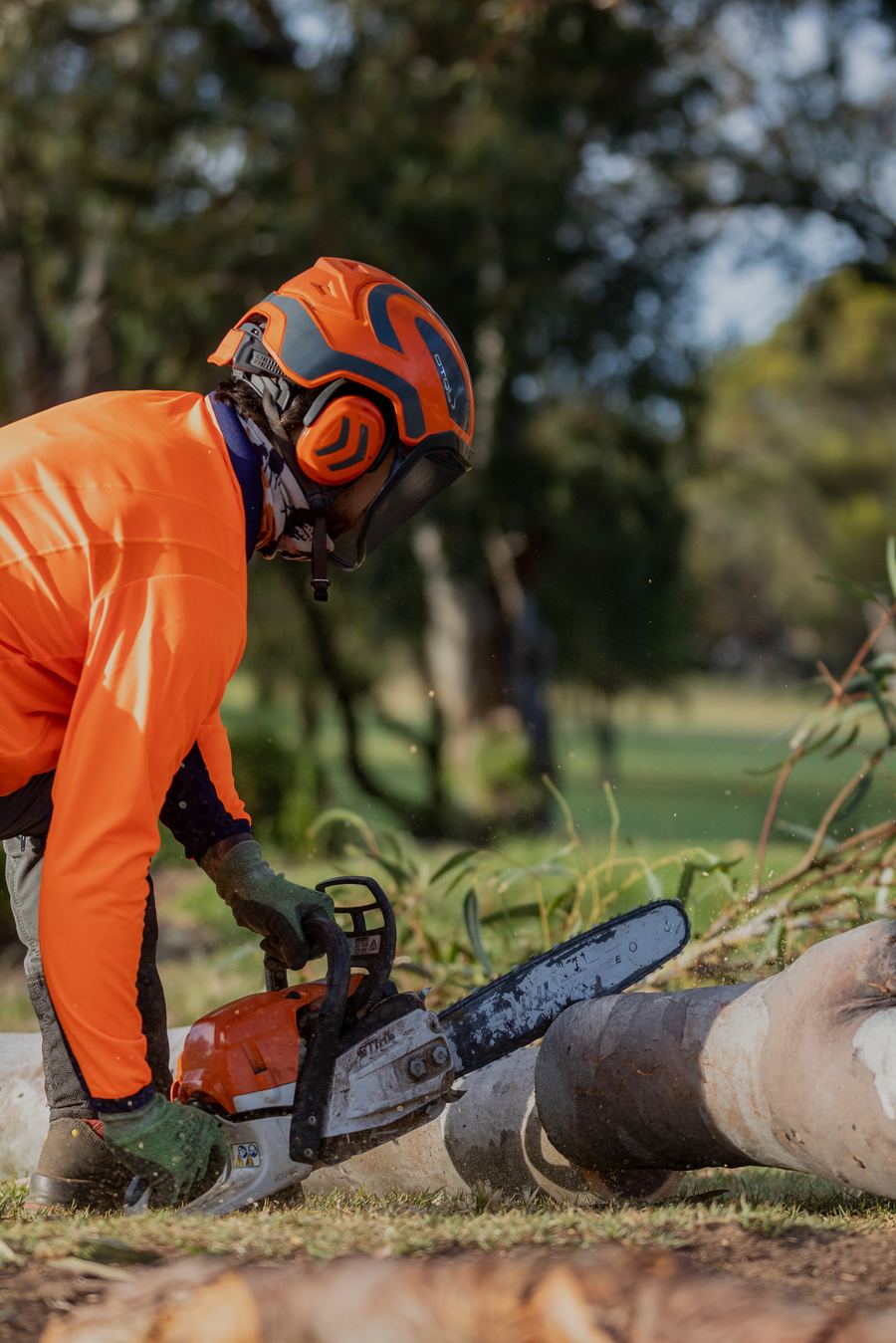 Arborist in orange hi-vis and helmet cutting a log with a chainsaw