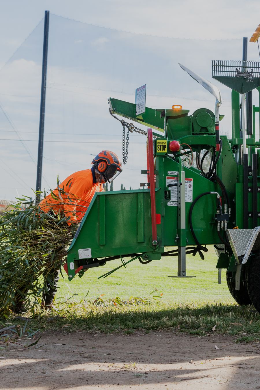 Crew member feeding branches into a green Bandit wood chipper