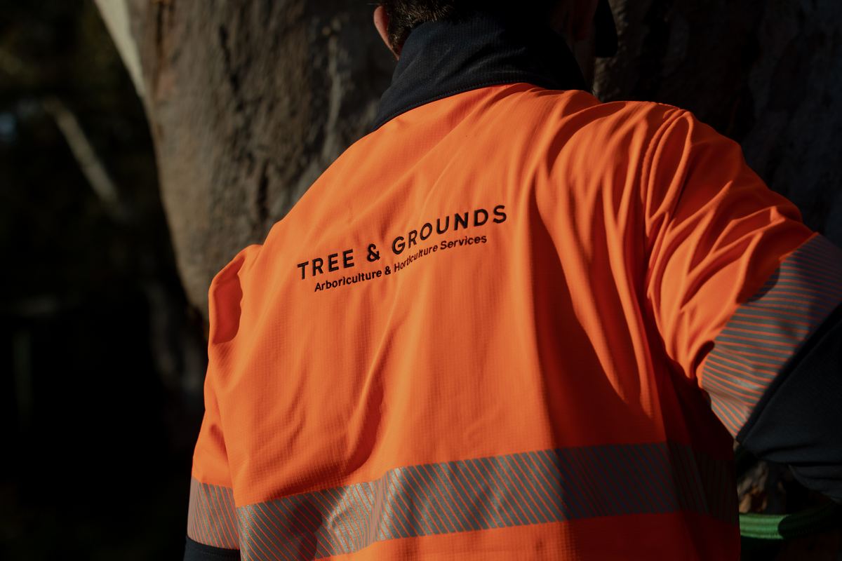 Back of a Tree and Grounds orange hi-vis work shirt showing the TREE & GROUNDS logo