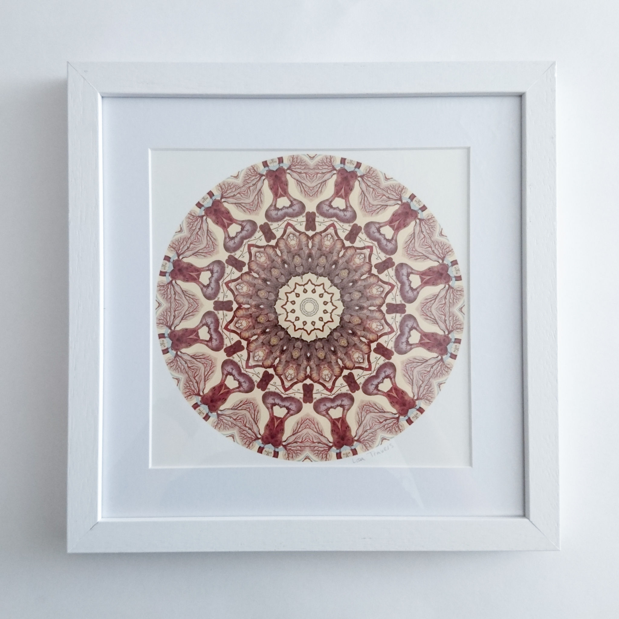 Courage Framed Print