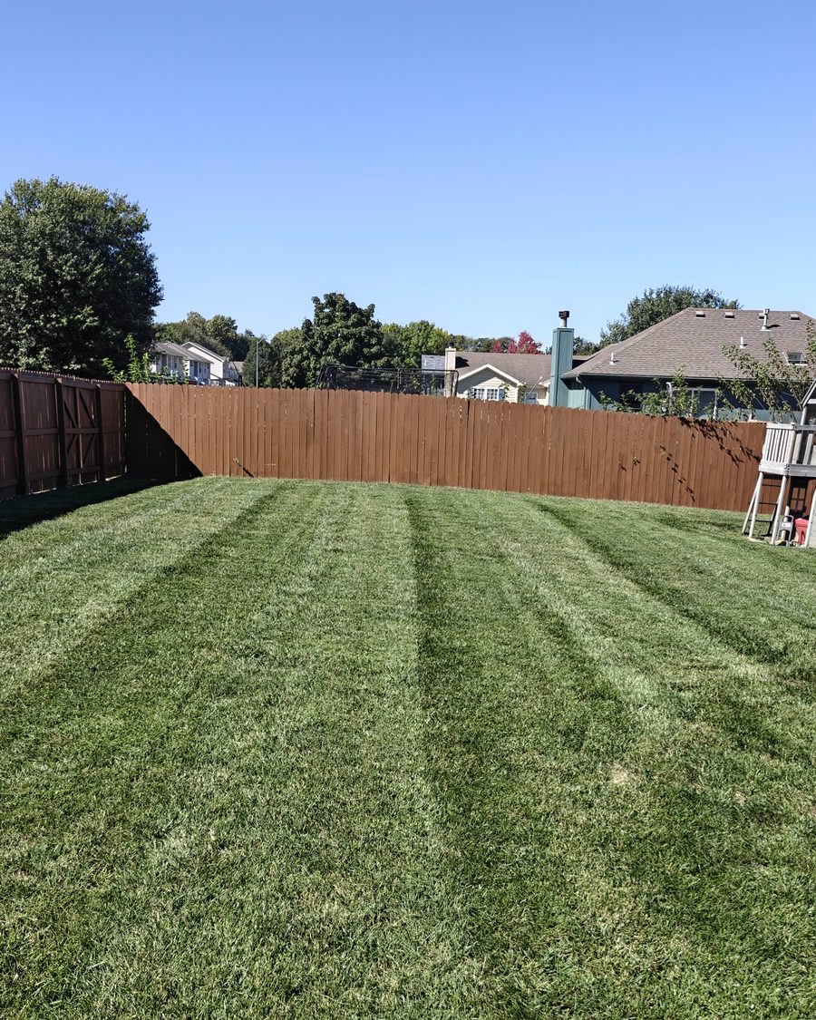 Striped backyard lawn along a wood fence