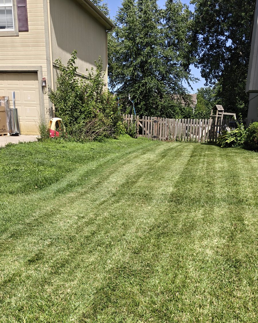 Striped lawn beside a two-story home