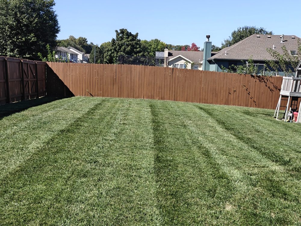 Freshly striped backyard lawn mowed by Cass County Lawn Co.