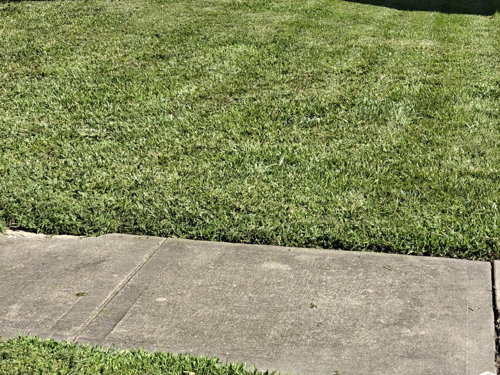 Clean, edged lawn along a sidewalk