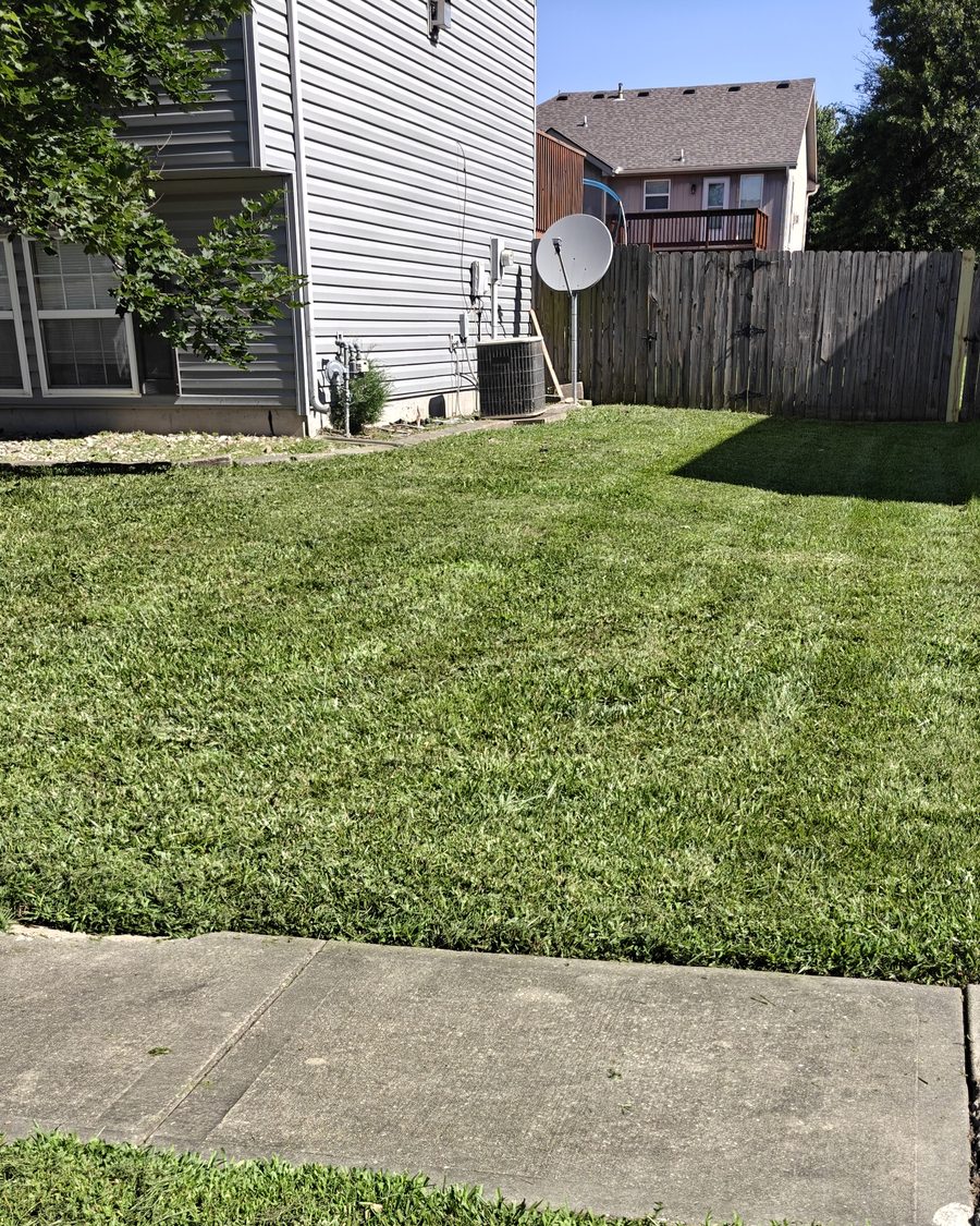 Neatly cut side yard along the sidewalk