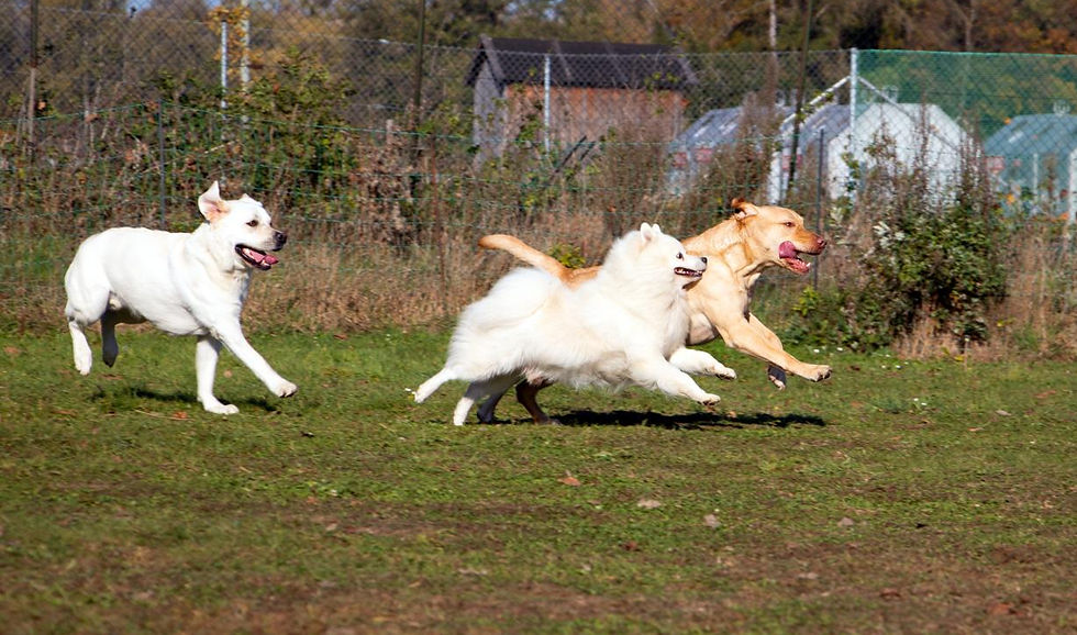 All-in-Workshop (Sonntag) – Mehr als Erziehung: Beziehung, Kommunikation & Alltagssicherheit