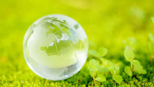 Descobertas sobre sustentabilidade que mudaram meu jeito de ver o mundo