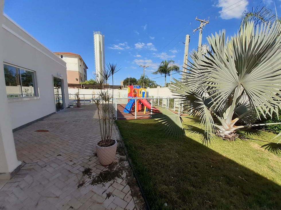 Miniatura: Palmeira Real