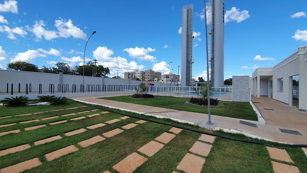 Miniatura: Palmeira Imperial