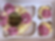 Bento Cake