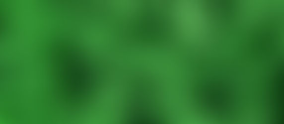 The CFO Perspective on Sustainability - Cost or Investment?