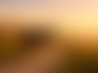 Money, happiness, and the moving goalpost